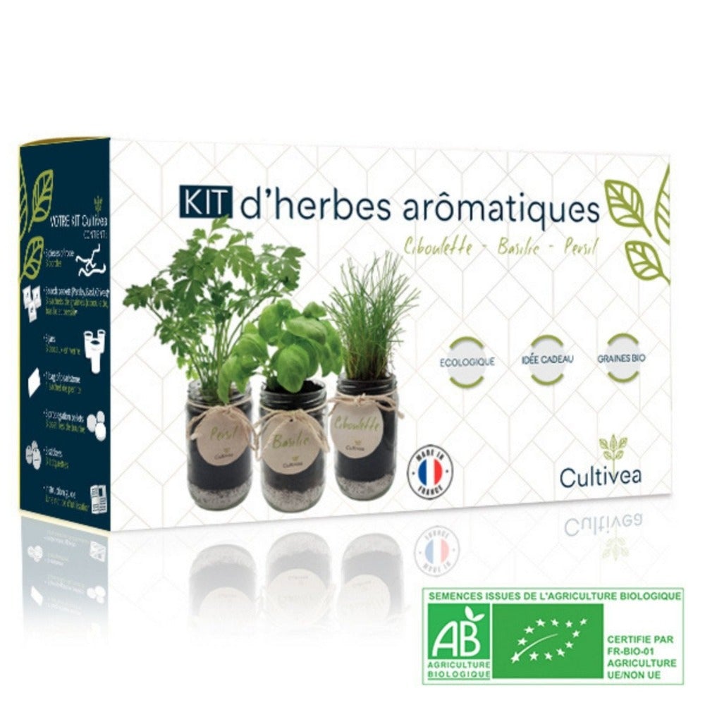 3 Kräutersorten im praktischen Anzuchtset mit dekorativen Gläsern - Grünes Set - GartenX - Pflanzen- & Kräuteranbausets