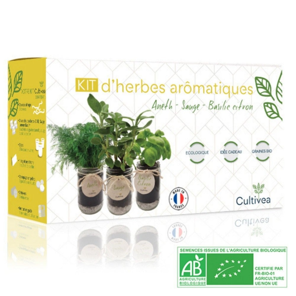 3 Kräutersorten im praktischen Anzuchtset mit dekorativen Gläsern - Gelbes Set - GartenX - Pflanzen- & Kräuteranbausets