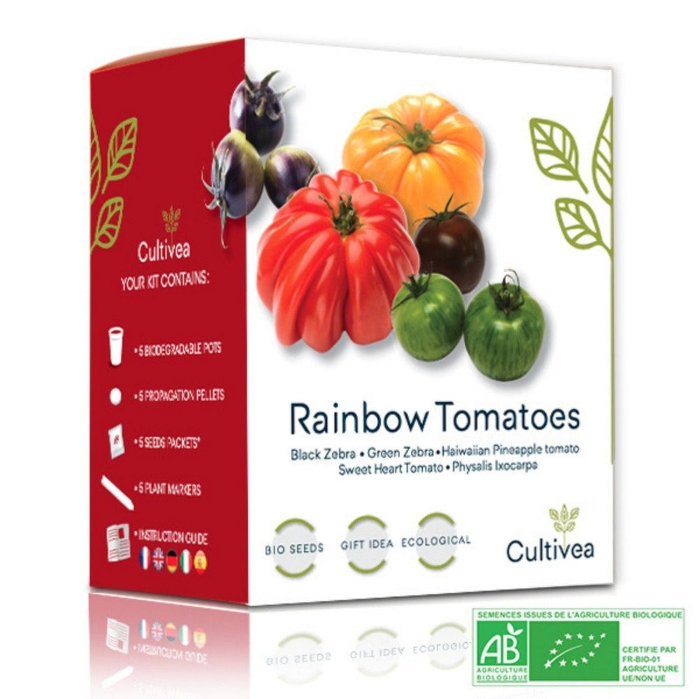 5 Sorten kunterbunte Tomatensamen im praktischen Anbauset - GartenX - Pflanzen- & Kräuteranbausets